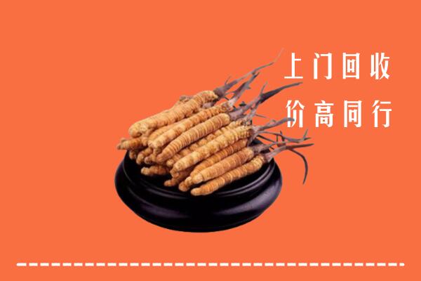 高价求购：西安市阎良回收散虫草