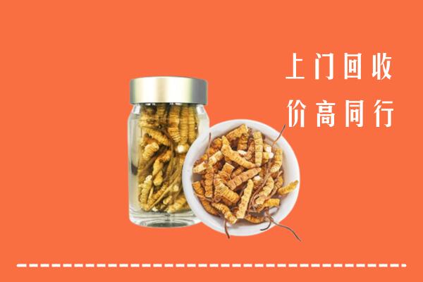 西安市阎良回收冬虫夏草